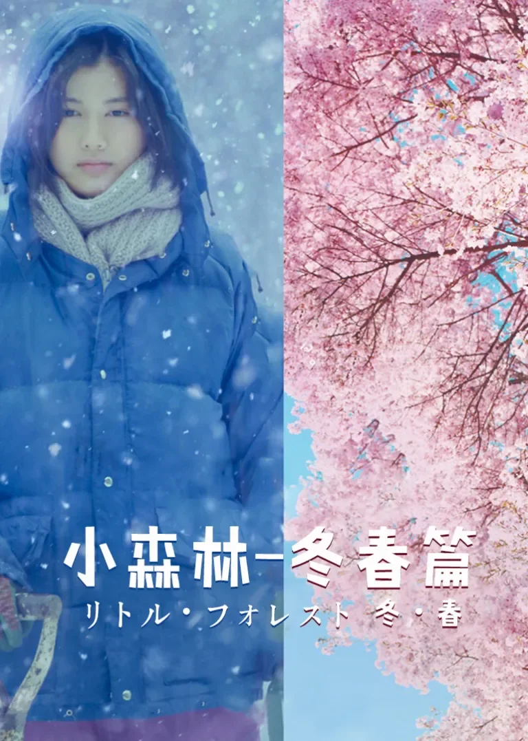 小森林 冬春篇电影海报