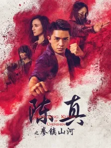 陈真之拳镇山河电影海报