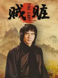贼赃电影海报