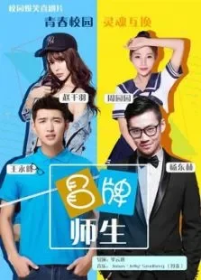 冒牌师生电影海报