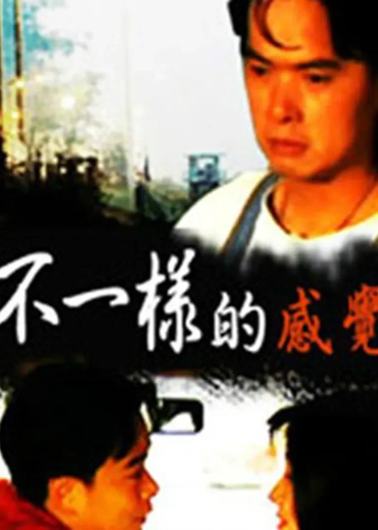 不一样的感觉电影海报
