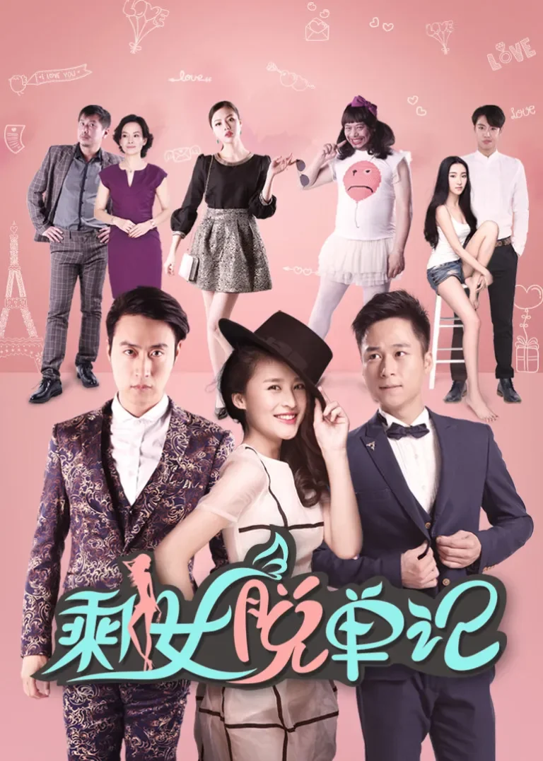 剩女脱单记电影海报