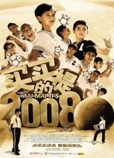 买买提的2008电影海报