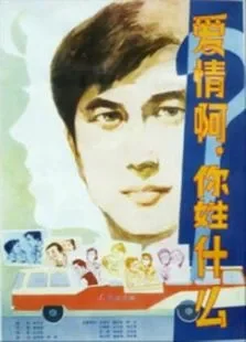 爱情啊，你姓什么电影海报