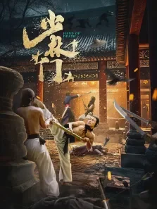 少林门电影海报