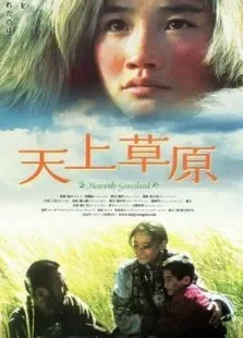 天上草原电影海报