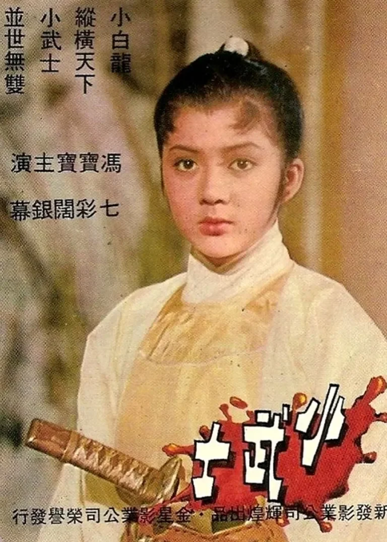 小武士电影海报