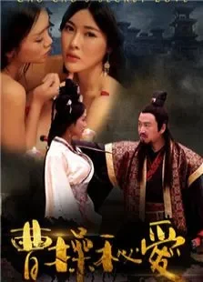 曹操秘爱电影海报