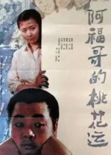 阿福哥的桃花运电影海报
