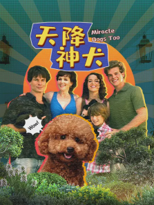 天降神犬2