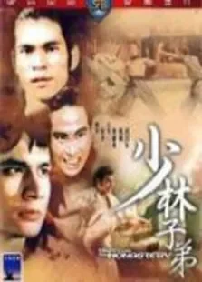 少林子弟电影海报