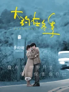 大约在冬季-无障碍版电影海报
