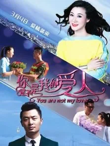 你是不是我的爱人-无障碍版电影海报