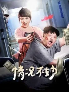 情况不妙-无障碍版电影海报