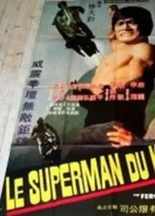 龙虎过江电影海报