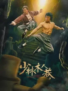 少林木人巷电影海报