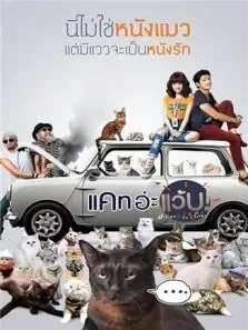 擅离职守的猫咪电影海报