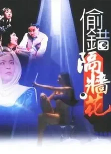 偷错隔墙花电影海报