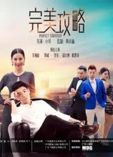 完美攻略电影海报