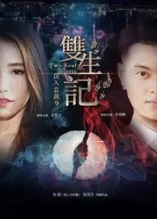 双生记之误入总裁身电影海报