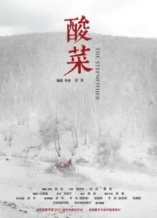 酸菜电影海报