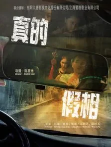 真的假相电影海报