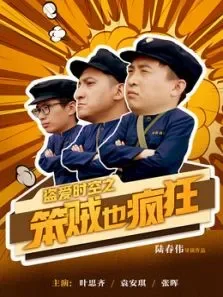 盗爱时空之笨贼也疯狂电影海报