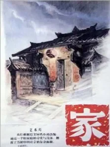 家56中文版电影海报