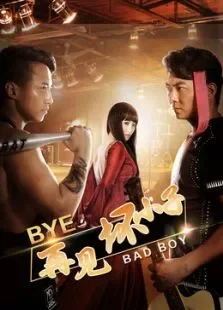再见坏小子电影海报