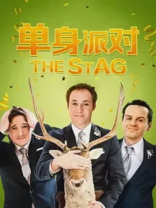 单身派对电影海报