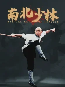南北少林电影海报