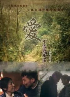 爱不需要承诺电影海报