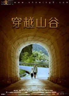 穿越山谷电影海报