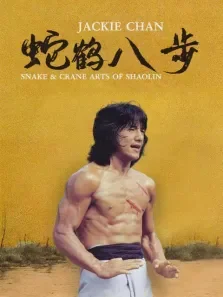 蛇鹤八步电影海报