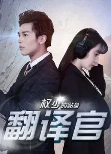 权少的贴身翻译官电影海报