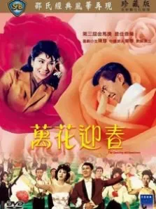 万花迎春电影海报