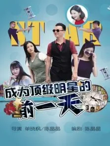成为顶级明星的前一天电影海报
