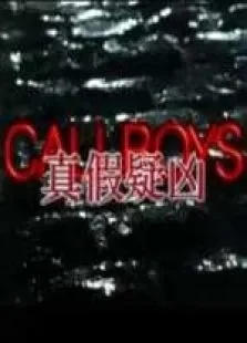 真假疑凶电影海报