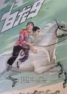 白龙马电影海报