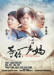 等你一声妈电影海报