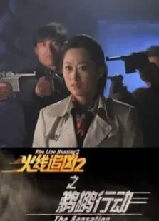 火线追凶2之鹈鹕行动电影海报