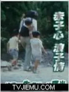 赤子心浪子情电影海报