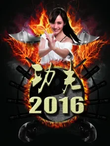 功夫2016电影海报