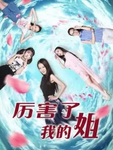 厉害了我的姐电影海报