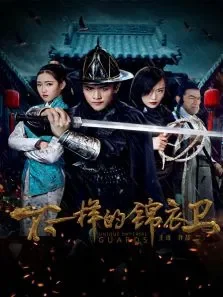 不一样的锦衣卫电影海报