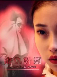 复仇计划电影海报