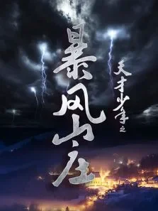天才少年之暴风山庄电影海报