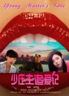 少庄主追爱记电影海报