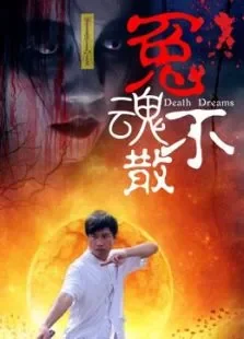 冤魂不散电影海报