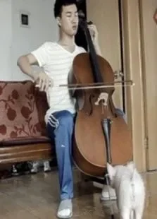 大提琴之恋电影海报